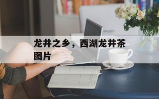 龙井之乡，西湖龙井茶图片