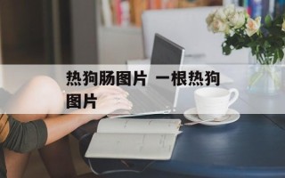 热狗肠图片 一根热狗图片