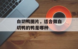白切鸭图片，适合做白切鸭的鸭是哪种