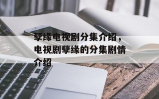 孽缘电视剧分集介绍，电视剧孽缘的分集剧情介绍