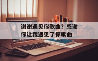 谢谢遇见你歌曲？感谢你让我遇见了你歌曲