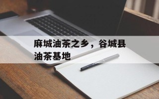 麻城油茶之乡，谷城县油茶基地
