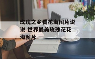 玫瑰之乡看花海图片说说 世界最美玫瑰花花海图片