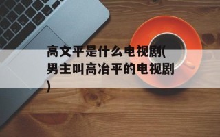 高文平是什么电视剧(男主叫高冶平的电视剧)