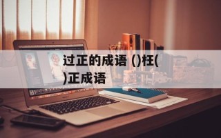 过正的成语 ()枉()正成语