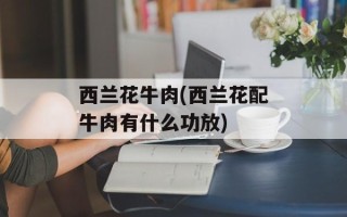西兰花牛肉(西兰花配牛肉有什么功放)