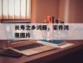 长寿之乡鸿雁，家养鸿雁图片