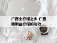 广西土柠檬之乡 广西腌制盐柠檬的功效