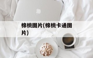 棉桃图片(棉桃卡通图片)