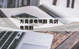 方青卓电视剧 亮剑 电视剧