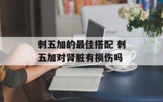 刺五加的最佳搭配 刺五加对肾脏有损伤吗