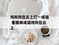 鸡和狗在云上打一成语 看图猜成语鸡狗在云上