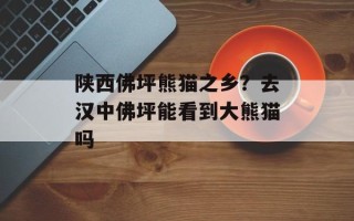 陕西佛坪熊猫之乡？去汉中佛坪能看到大熊猫吗