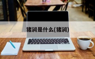 猪润是什么(猪润)