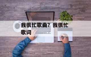 我很忙歌曲？我很忙 歌词
