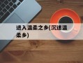 进入温柔之乡(沉迷温柔乡)