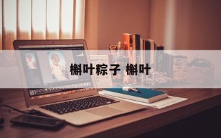 槲叶粽子 槲叶