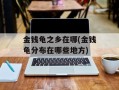 金钱龟之乡在哪(金钱龟分布在哪些地方)