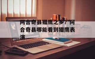 阿合奇县猎鹰之乡？阿合奇县哪能看到猎鹰表演