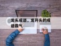 龙头成语，龙开头的成语霸气