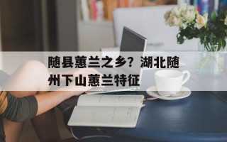 随县蕙兰之乡？湖北随州下山蕙兰特征