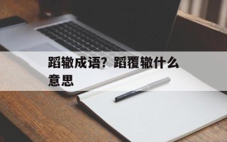 蹈辙成语？蹈覆辙什么意思