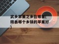 武乡苹果之乡在哪里(隰县哪个乡镇的苹果好)