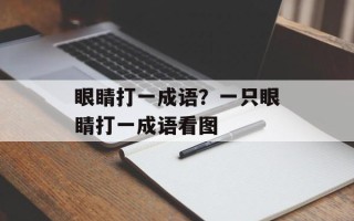 眼睛打一成语？一只眼睛打一成语看图