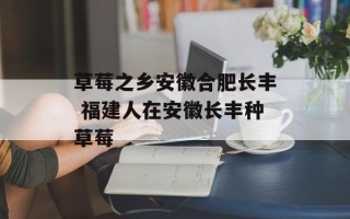 草莓之乡安徽合肥长丰 福建人在安徽长丰种草莓