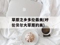 草原之乡多伦最美(呼伦贝尔大草原的美)