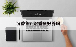 沉香鱼？沉香鱼好养吗
