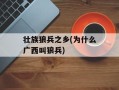 壮族狼兵之乡(为什么广西叫狼兵)