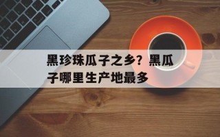 黑珍珠瓜子之乡？黑瓜子哪里生产地最多