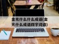 金光什么什么成语(金光什么成语四字词语)