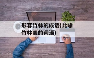 形容竹林的成语(比喻竹林美的词语)