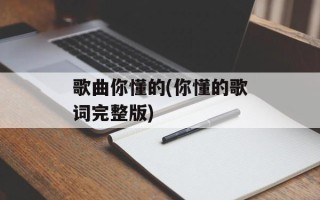 歌曲你懂的(你懂的歌词完整版)