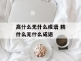 高什么无什么成语 精什么无什么成语