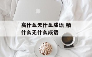 高什么无什么成语 精什么无什么成语