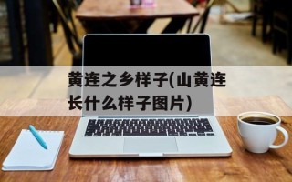 黄连之乡样子(山黄连长什么样子图片)