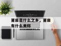 莆田是什么之乡，莆田有什么美称
