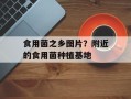 食用菌之乡图片？附近的食用菌种植基地
