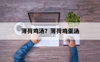 薄荷鸡汤？薄荷鸡蛋汤