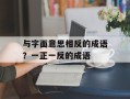 与字面意思相反的成语？一正一反的成语