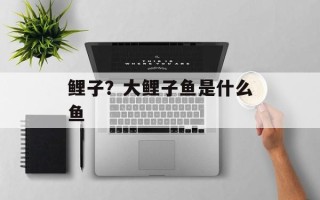 鲤子？大鲤子鱼是什么鱼
