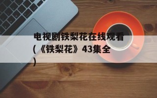 电视剧铁梨花在线观看(《铁梨花》43集全)