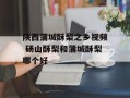 陕西蒲城酥梨之乡视频 砀山酥梨和蒲城酥梨哪个好
