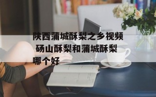 陕西蒲城酥梨之乡视频 砀山酥梨和蒲城酥梨哪个好
