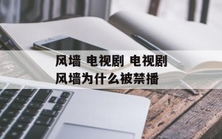 风墙 电视剧 电视剧风墙为什么被禁播