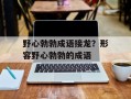 野心勃勃成语接龙？形容野心勃勃的成语