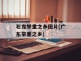 石龙举重之乡图片(广东举重之乡)